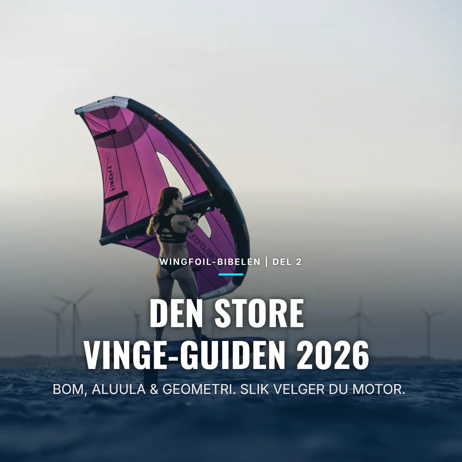 WINGFOIL-BIBELEN DEL 2: DEN STORE VINGE-GUIDEN 2026 🦅