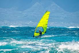 Goya Nexus 11 Evo | Windsurfing Freeride Seil - Surf1