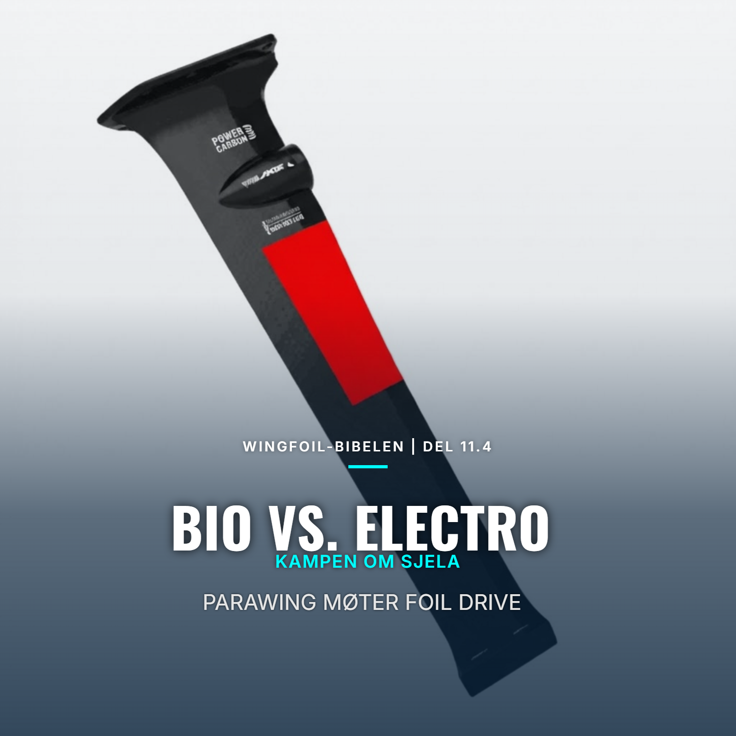 KAPITTEL 11.4: THE GRAND FINALE – HISTORIEN, FREMTIDEN & VALGET 🌍⚔️