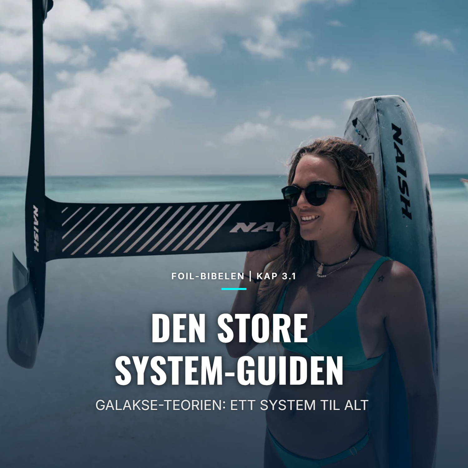FOIL-BIBELEN DEL 3.1: DEN STORE SYSTEM-GUIDEN