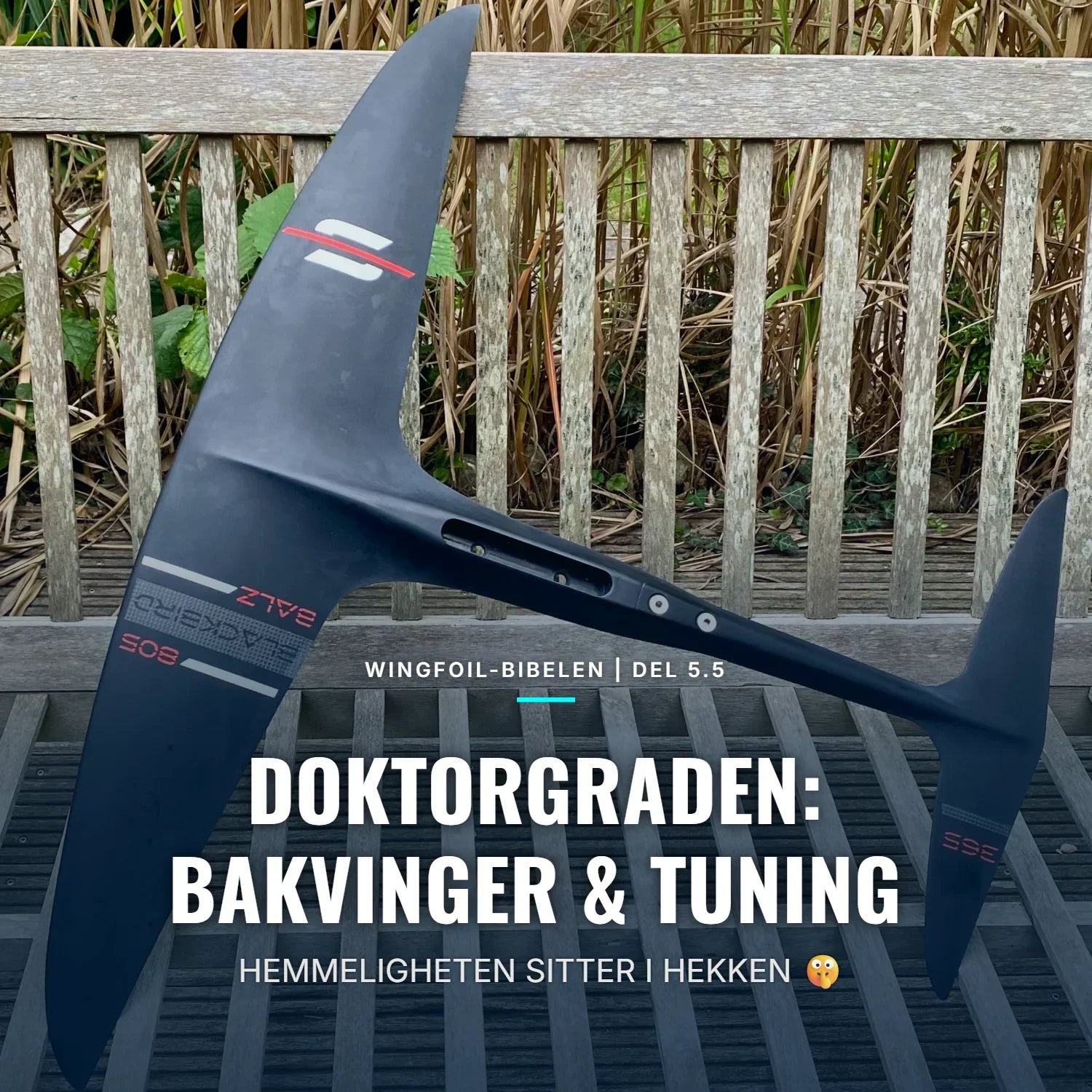 WINGFOIL-BIBELEN DEL 5.5: STABILISATOREN – RATTET, GIRKASSEN & FRIHETEN