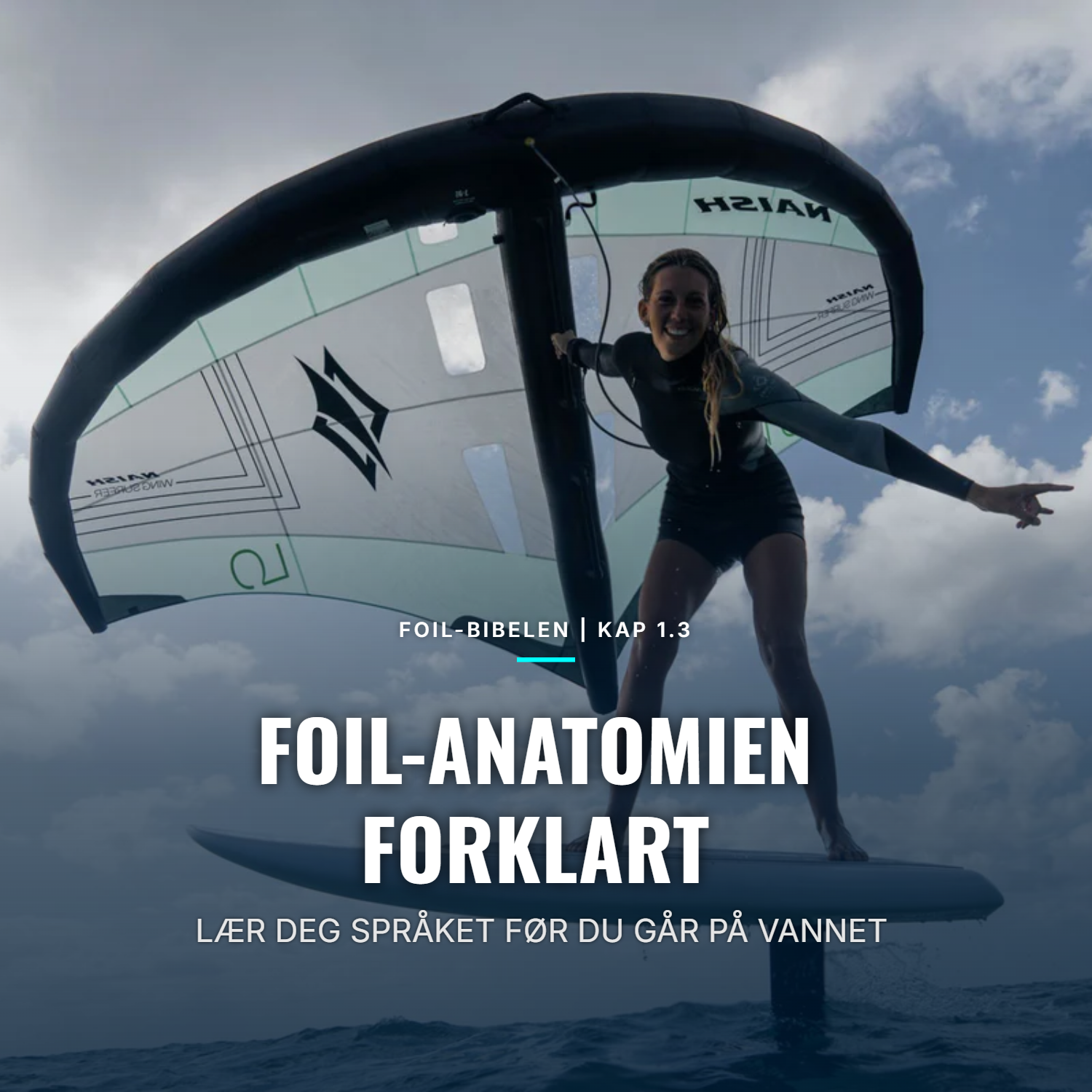📖 FOIL-BIBELEN | KAP 1.3: FOIL-ANATOMIEN: HVA GJØR EGENTLIG DELENE?