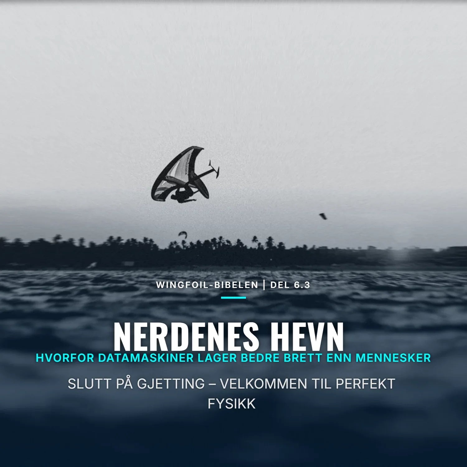 Nerdens hevn , wingfoil hopp